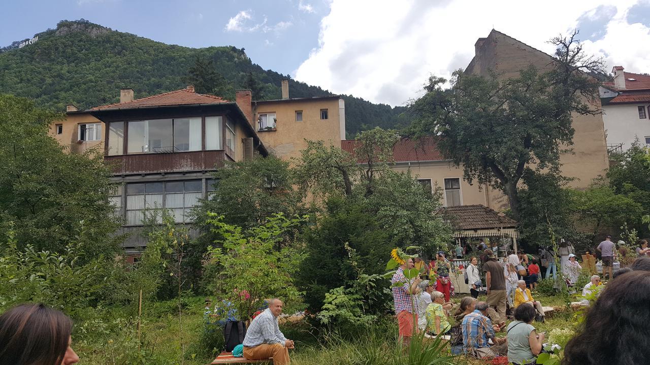 Mountain Tale Hostel Brasov Exterior photo