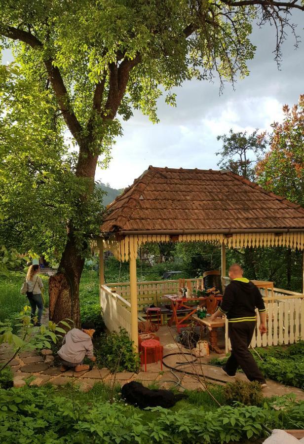 Mountain Tale Hostel Brasov Exterior photo