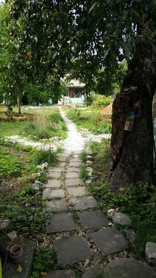 Mountain Tale Hostel Brasov Exterior photo