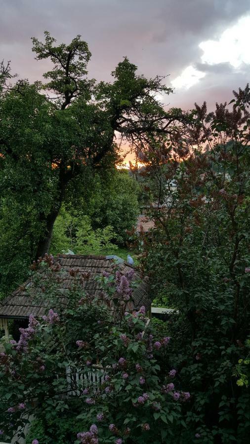 Mountain Tale Hostel Brasov Exterior photo